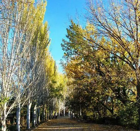 Casa vacanze Alma Mudejar